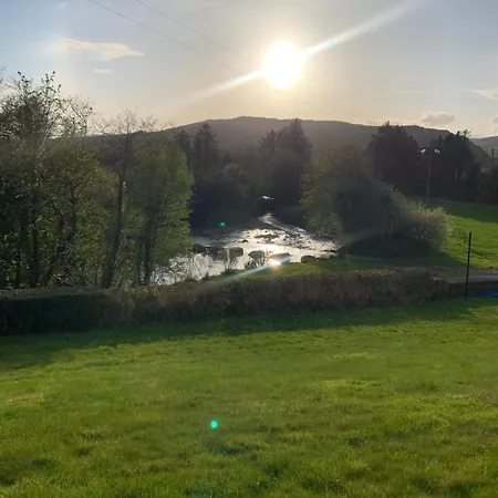 The Ford