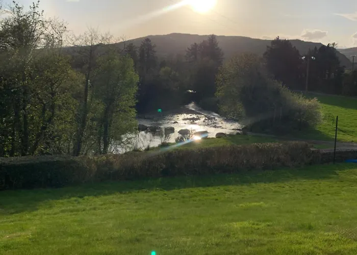 The Ford